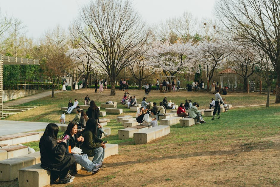 People enjoying a spring day under cherry blossoms in a Seoul park, Korea.